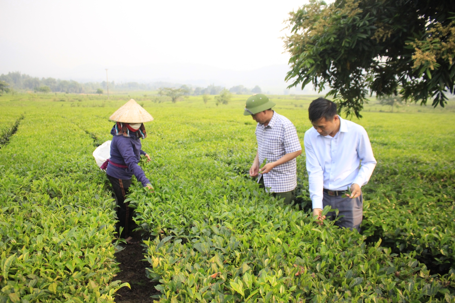 Điều tra xã hội học về kết quả sau hơn 2 năm triển khai thực hiện Nghị quyết số 10-NQ/TU về tăng cường sự lãnh đạo của các cấp ủy Đảng đối với việc thực hiện các Chương trình mục tiêu quốc gia trên địa bàn tỉnh giai đoạn 2021-2025