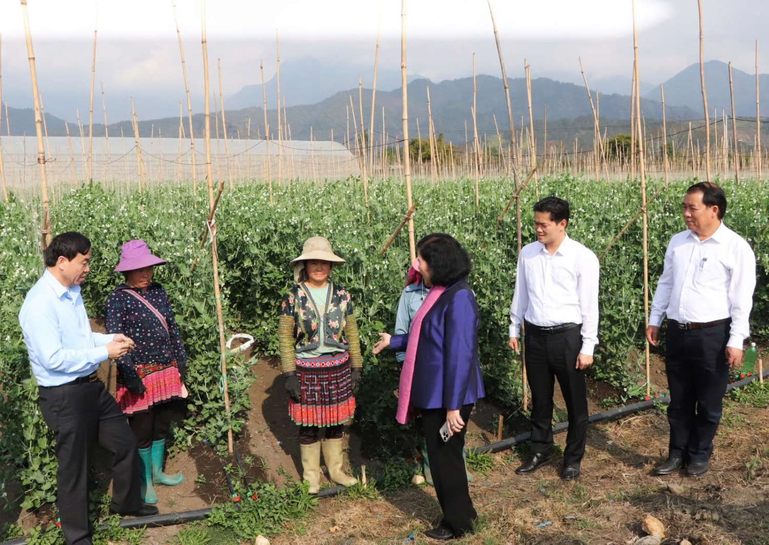 Các đồng chí lãnh đạo tỉnh thăm mô hình sản xuất nông nghiệp của Công ty trách nhiệm hữu hạn một thành viên Trọng Nghĩa tại xã Pắc Ta