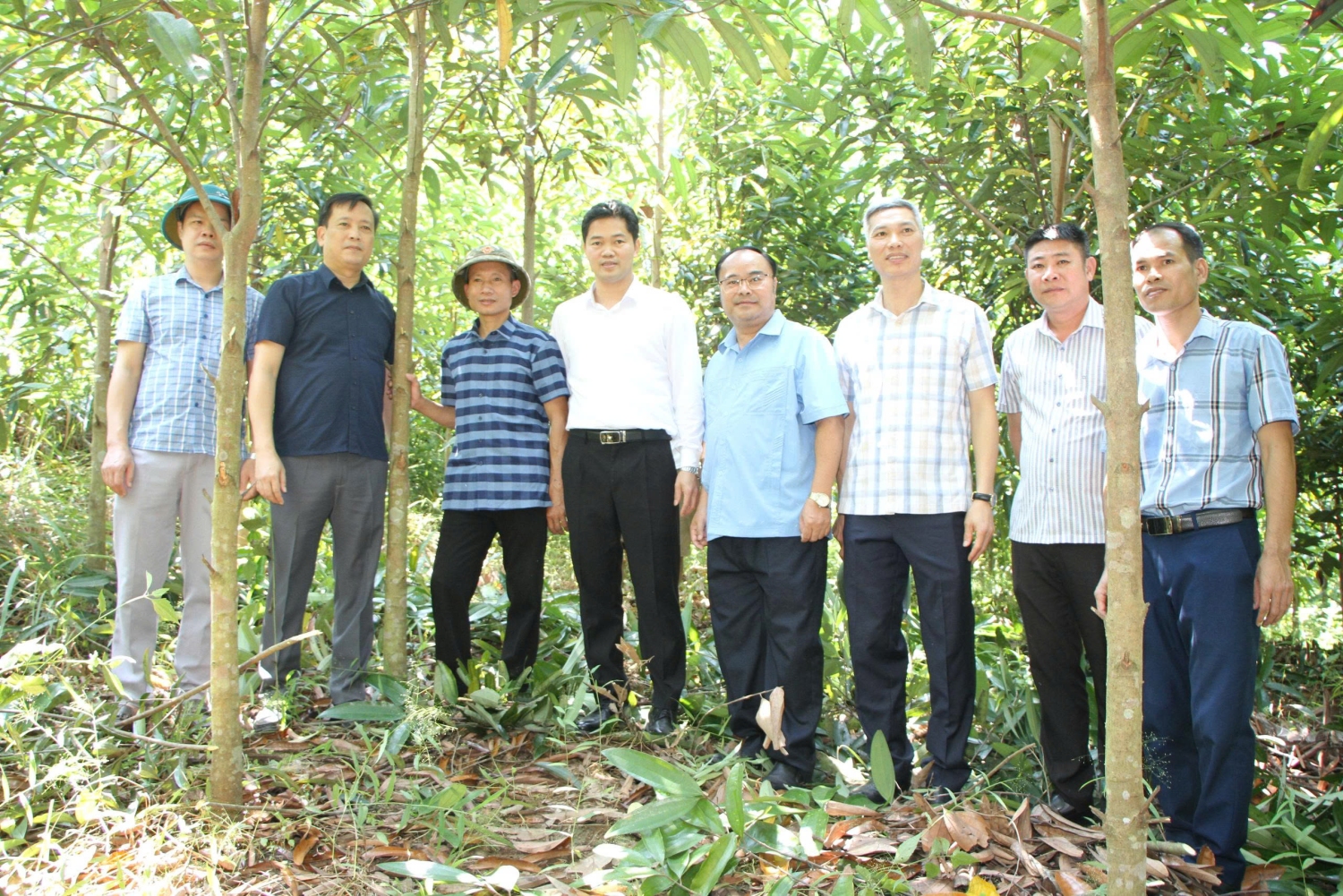 22hoang hoi