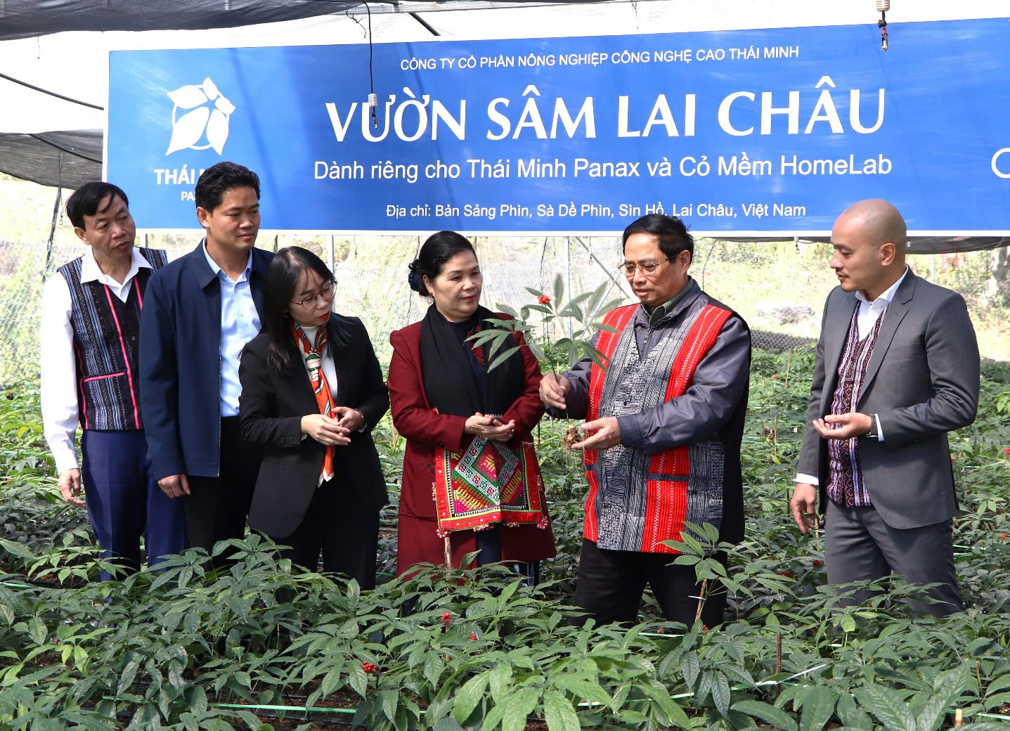 Điều tra xã hội học về kết quả sau triển khai thực hiện việc phát triển Sâm Lai Châu giai đoạn 2024 - 2030, định hướng đến năm 2035