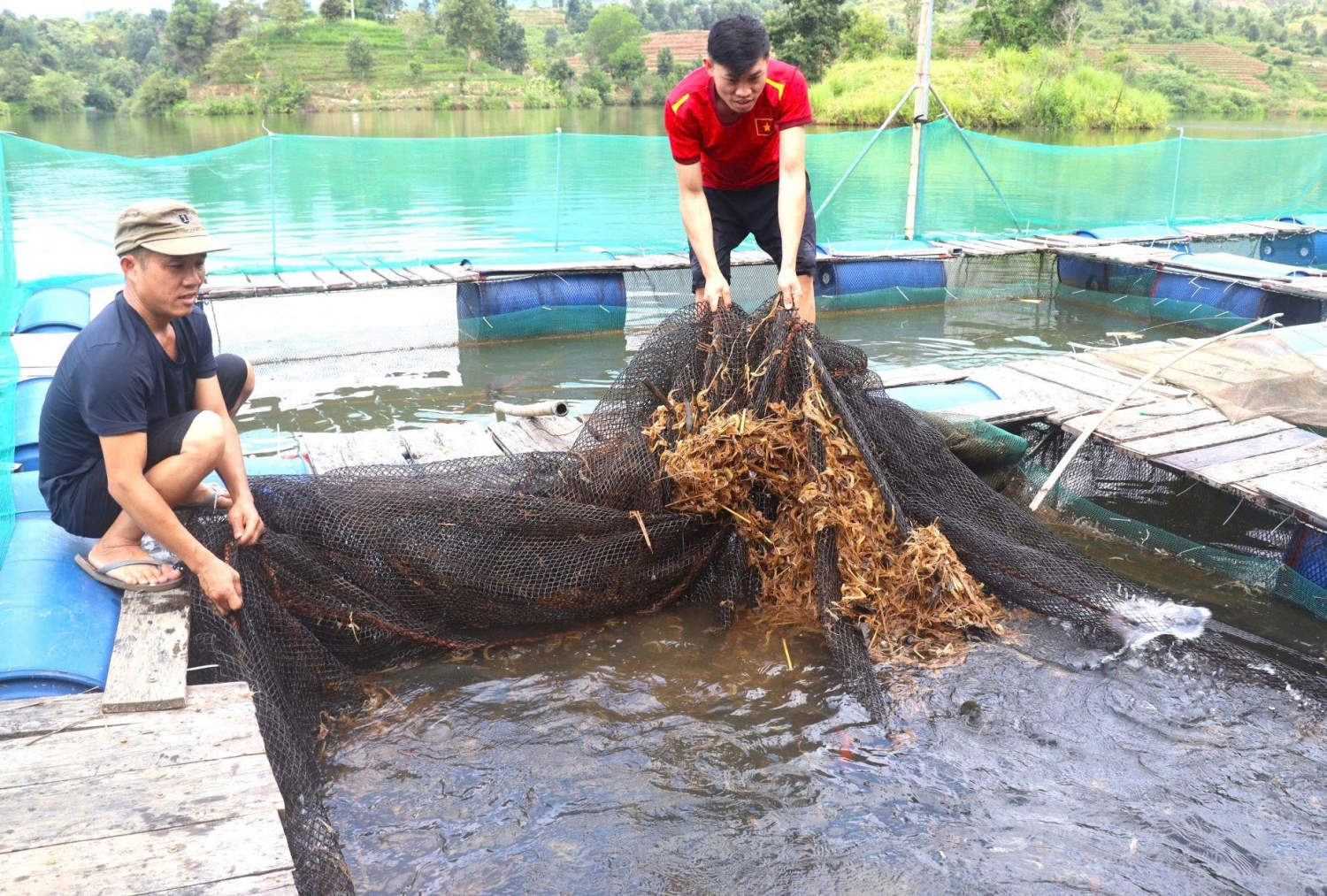 Nhờ đầu tư nuôi cá lồng đã mang lại thu nhập ổn định cho người dân trong xã