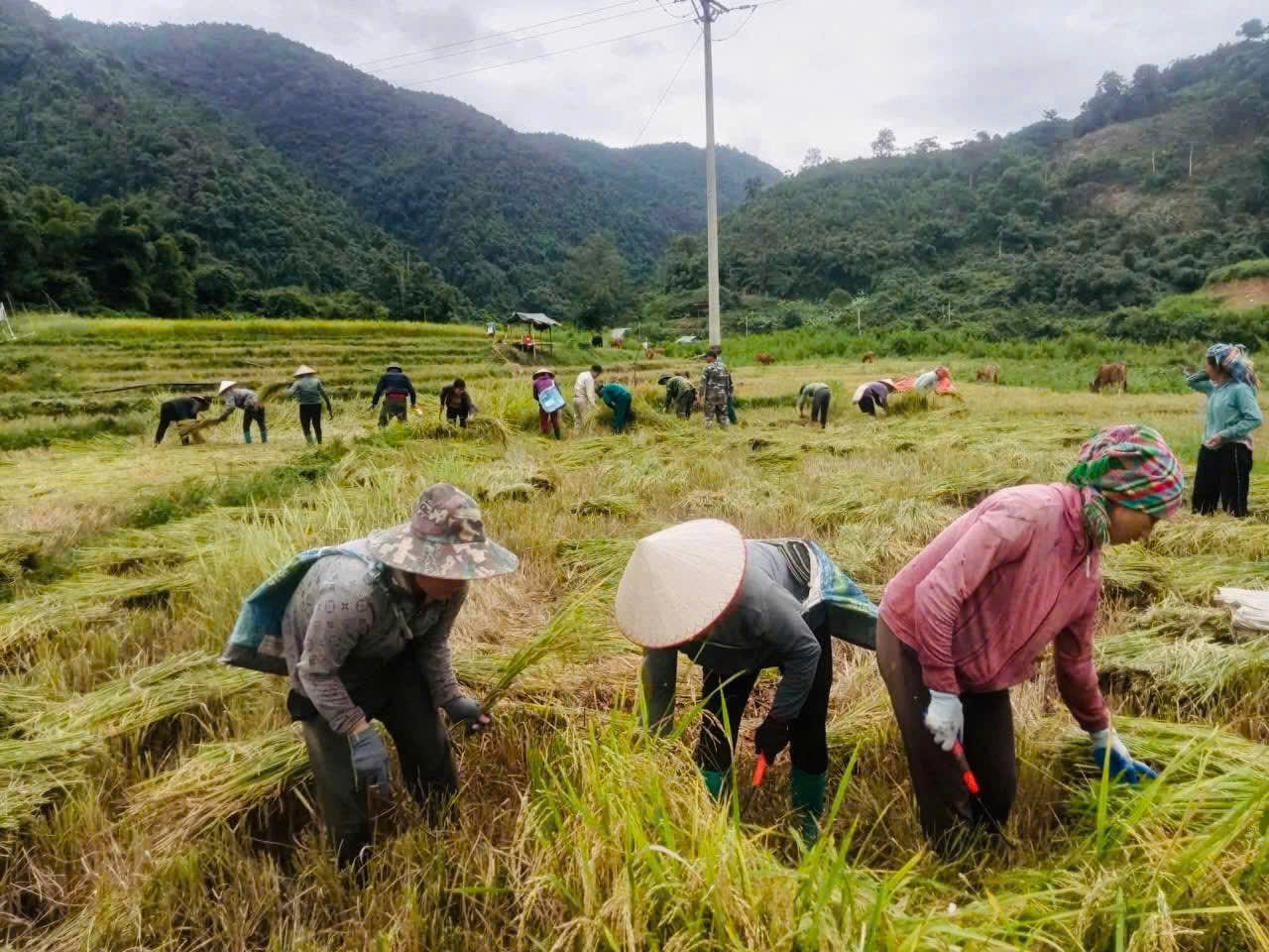 Nhân dân các dân tộc trong xã tích cực lao động sản xuất góp phần phát triển kinh tế - xã hội