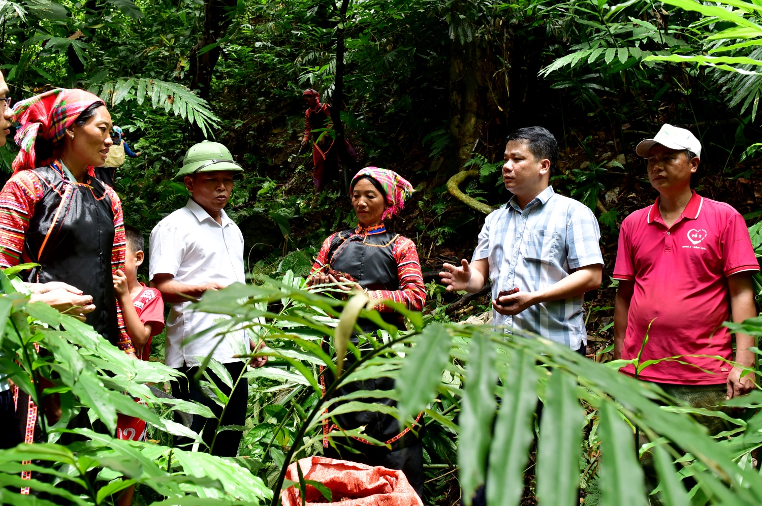 Nhân dân các dân tộc trong tỉnh đã chú trọng thực hiện quản lý bảo vệ rừng gắn với phát triển kinh tế rừng, nâng cao thu nhập từ rừng