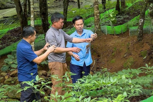 Tả Lèng triển khai hiệu quả nhiệm vụ phát triển kinh tế - xã hội