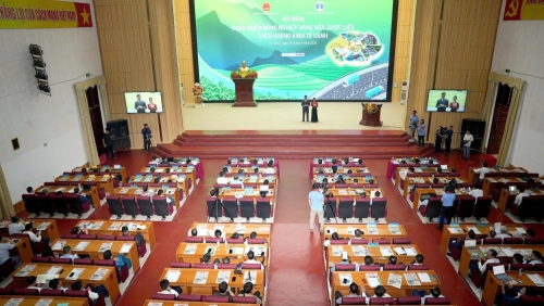 Hội nghị “Phát triển nông nghiệp hàng hóa, dược liệu theo hướng kinh tế xanh”