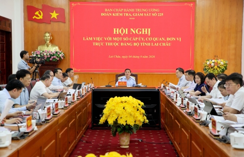 Đoàn kiểm tra, giám sát số 225 của Bộ Chính trị làm việc với một số cấp ủy, cơ quan, đơn vị trực thuộc Đảng bộ tỉnh