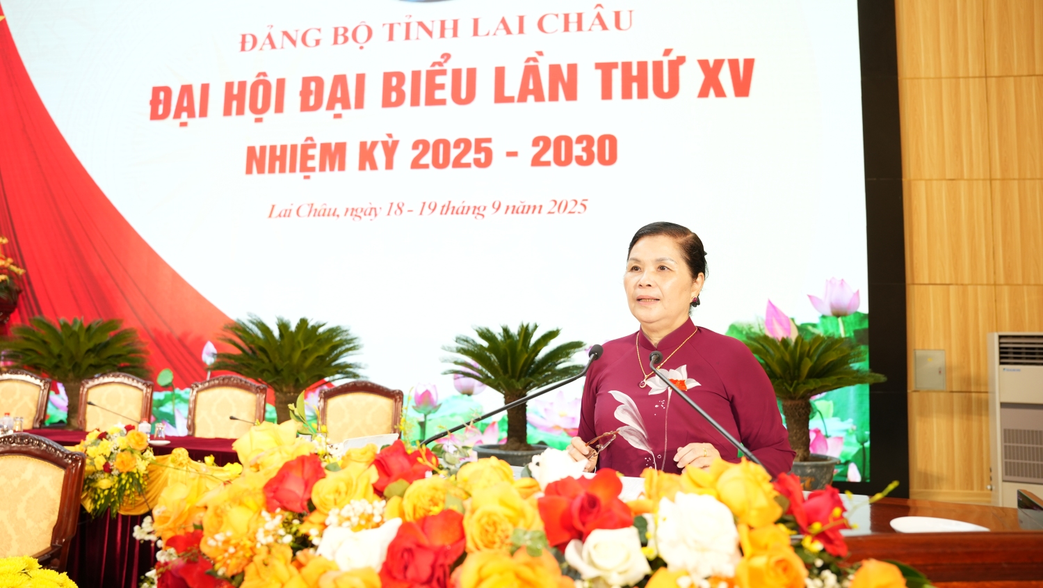 50do phuong