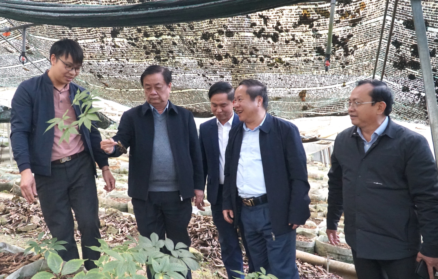 Phó Chủ tịch Quốc hội Lê Minh Hoan thăm vườn bảo tồn Sâm tại bản Xin Chải, xã Tả Lèng